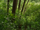 DSC08053.JPG
